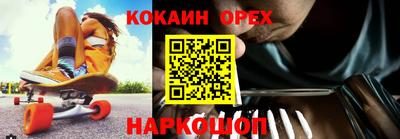 гашик Новозыбков