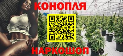 стаф Новодвинск