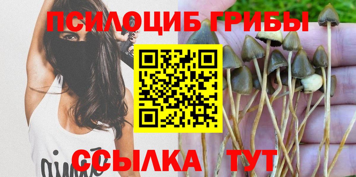 Псилоцибиновые грибы GOLDEN TEACHER Вязьма