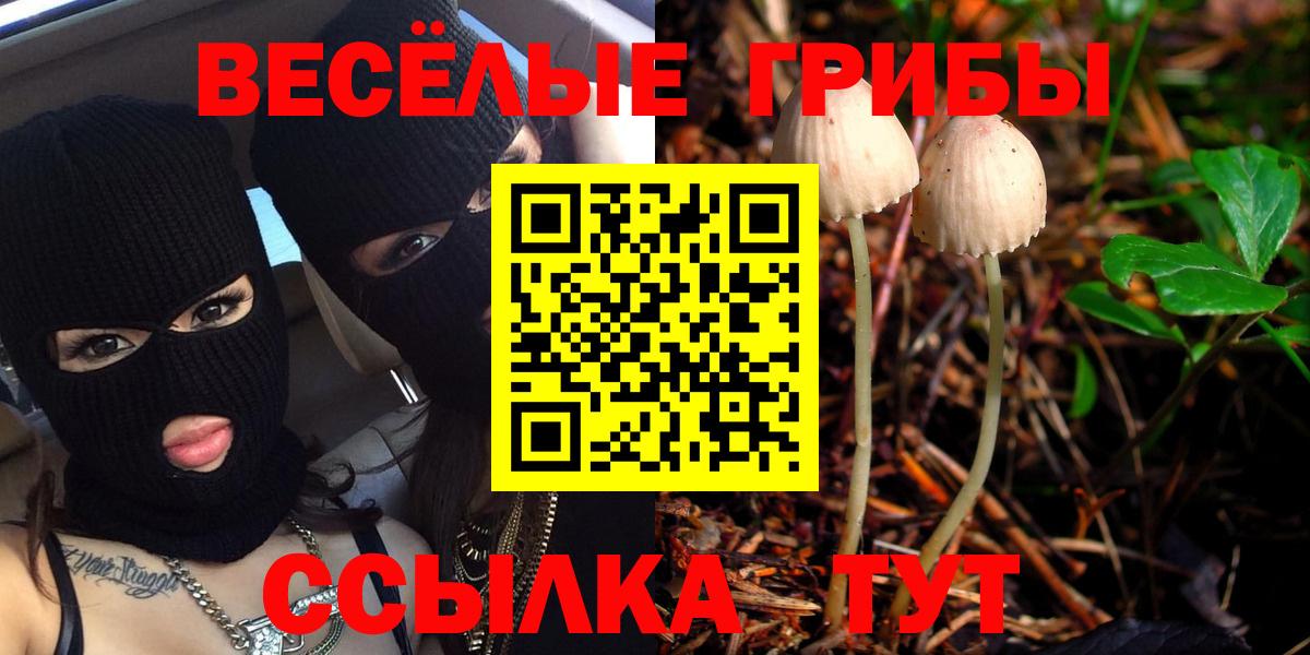 Галлюциногенные грибы мухоморы  сколько стоит  Вязьма  Галлюциногенные грибы мухоморы 