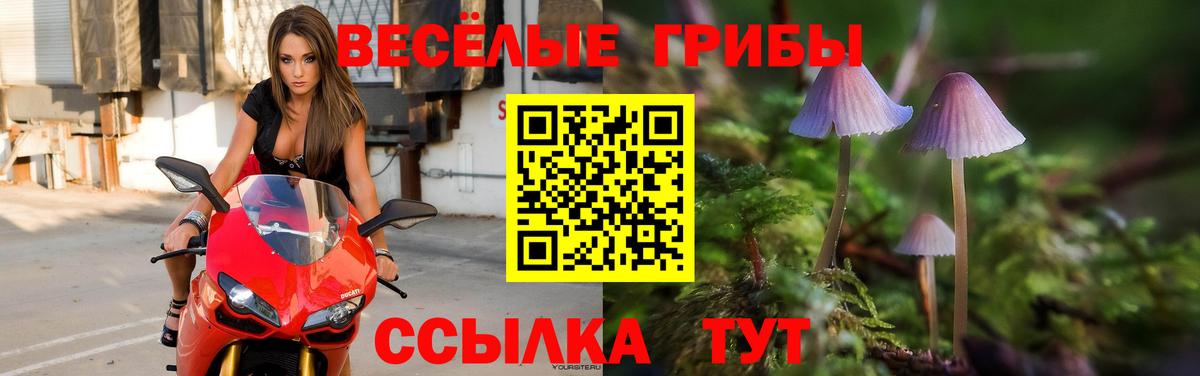 Псилоцибиновые грибы прущие грибы  Вход с VPN  Вязьма  Галлюциногенные грибы мицелий 